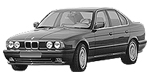 BMW E34 B110D Fault Code